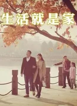 生活就是家第12集