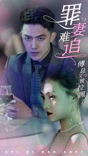 罪妻难追傅总又被拉黑了全集(大结局)