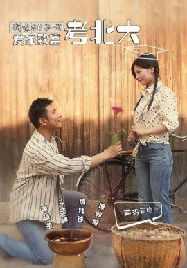 我在80年代发家致富考北大全集(大结局)