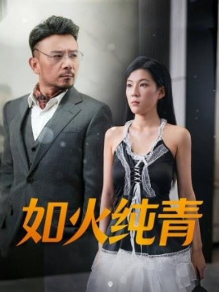 如火纯青全集(大结局)