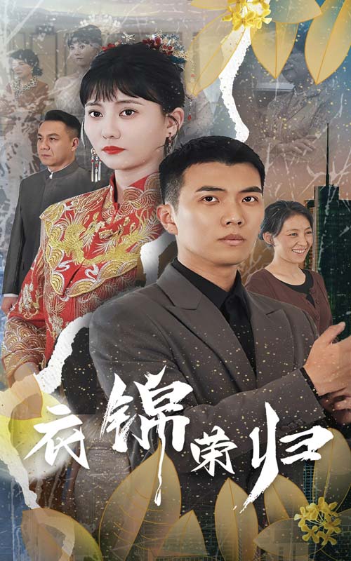 衣锦荣归全集(大结局)