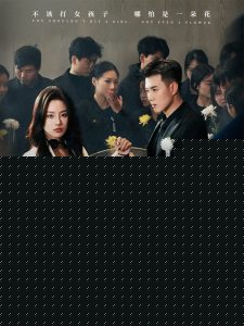 镜头前的完美老公全集(大结局)