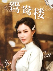 鸳鸯楼全集(大结局)