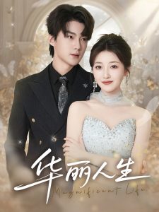 华丽人生全集(大结局)