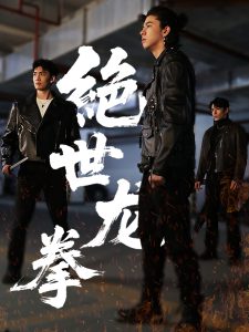 绝世龙拳全集(大结局)