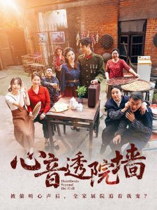 心音透院墙全集(大结局)