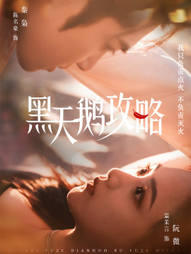 黑天鹅攻略全集(大结局)