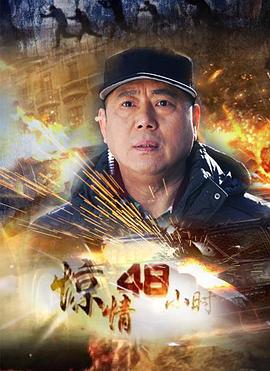 惊情48小时第29集
